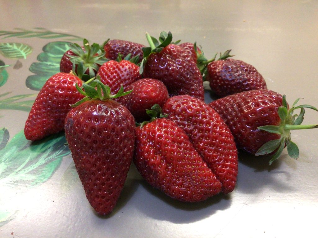 A diferencia de las fresas, de menor tamaño, los fresones presentan un gran calibre.