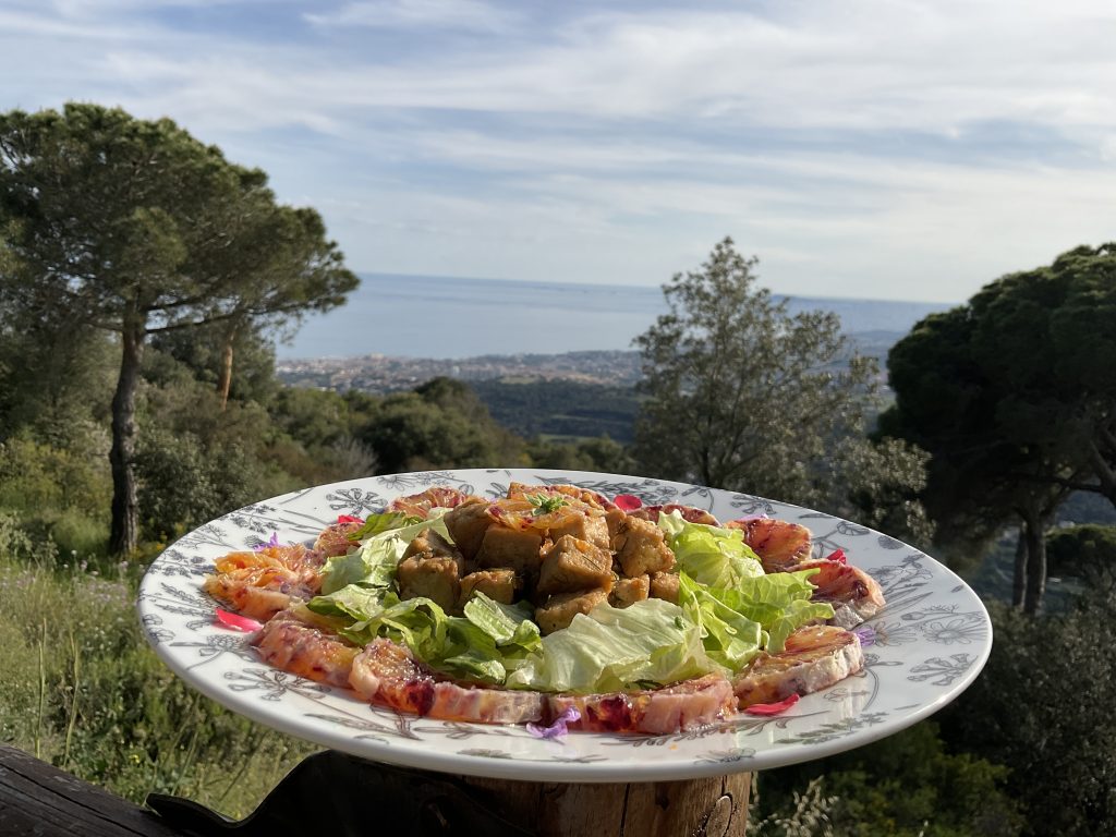 Ensalada de tofu aromatizado con hinojo silvestre, en un bonito rincón del Maresme, el mirador de la cornisa, en Teià.